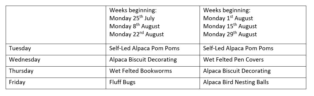 Summer craft timetable